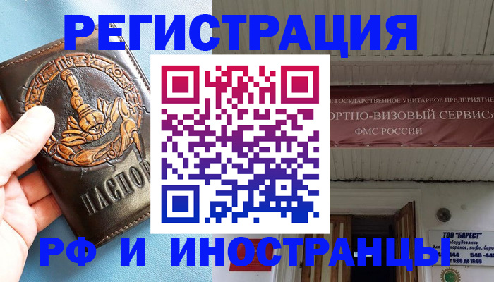 прописка поиск в Светлогорске